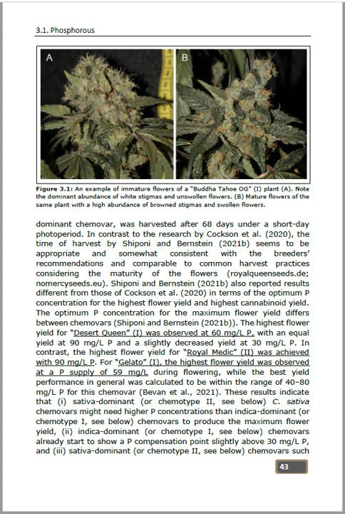 Controlled Environment Cannabis Horticulture: Methods and Strategies to Improve the Quality of Medicinal Cannabis